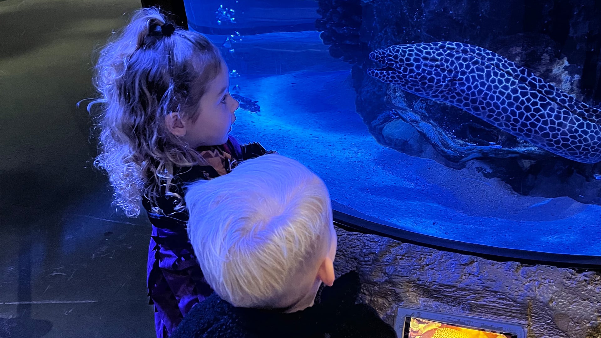 Lola en Jimmy kijken naar een vis in het aquarium van Rainforest restaurant