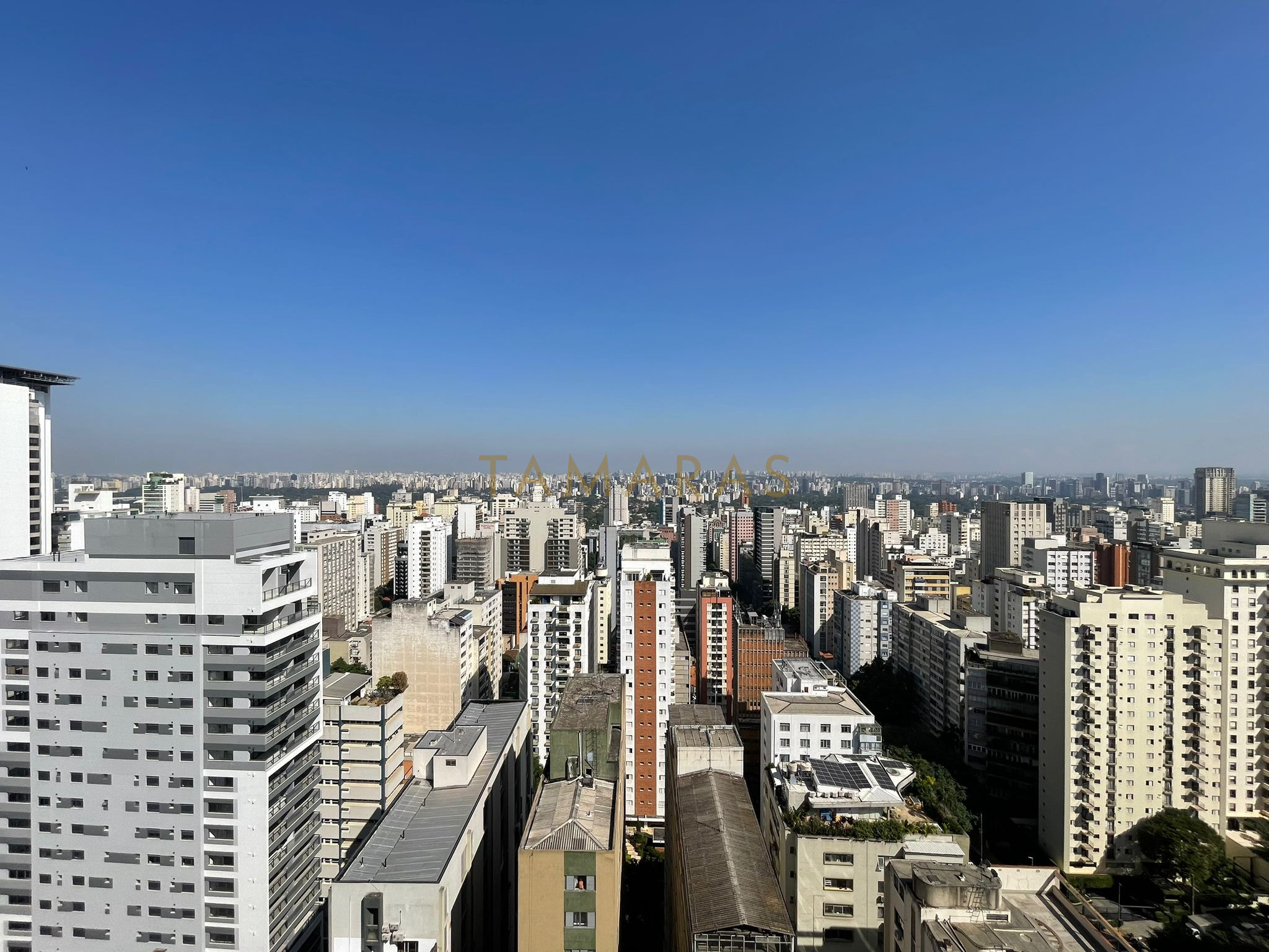 1768410008-78546-02_imagem_02