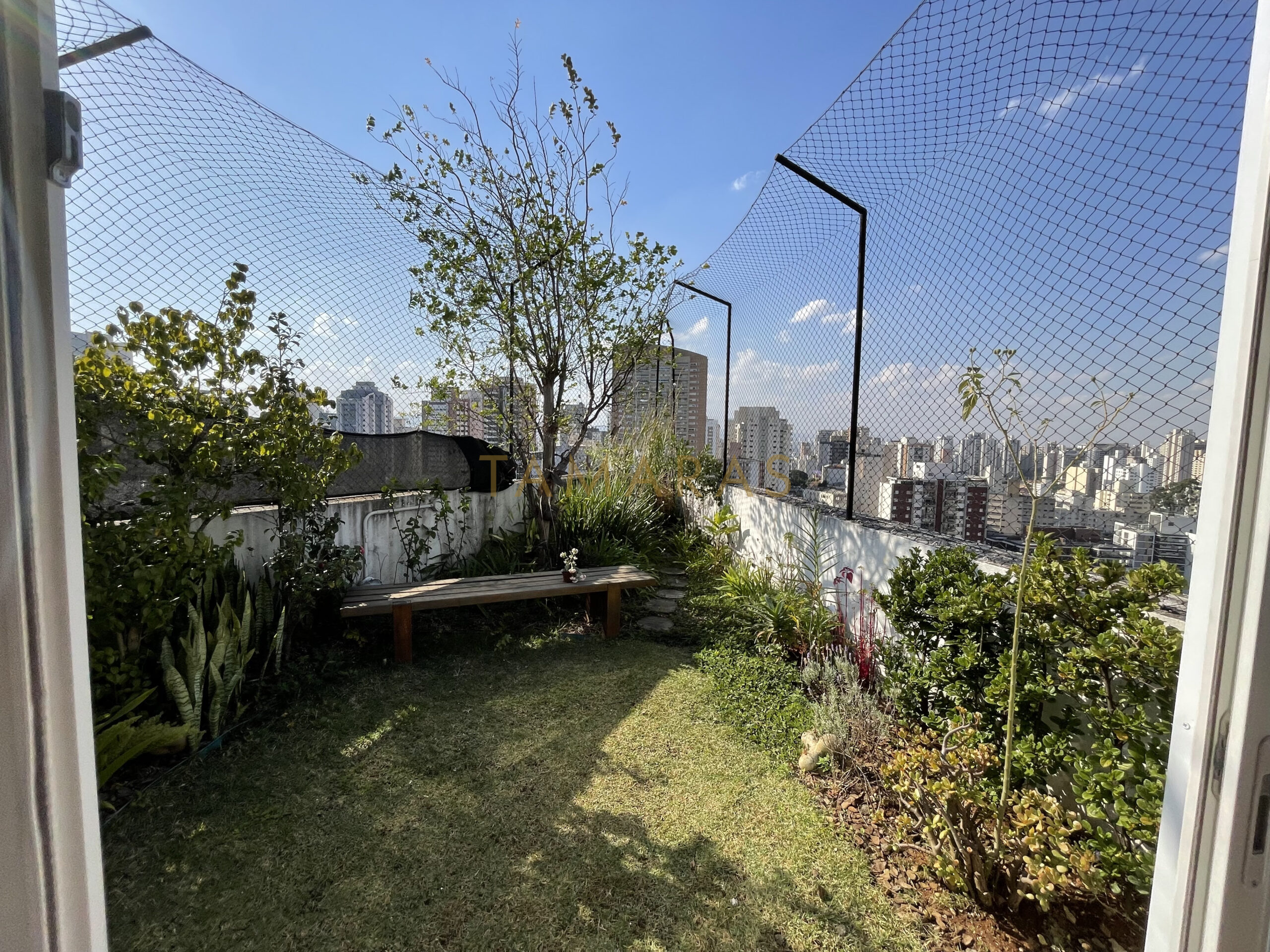 1768410907-66780-01_imagem_01