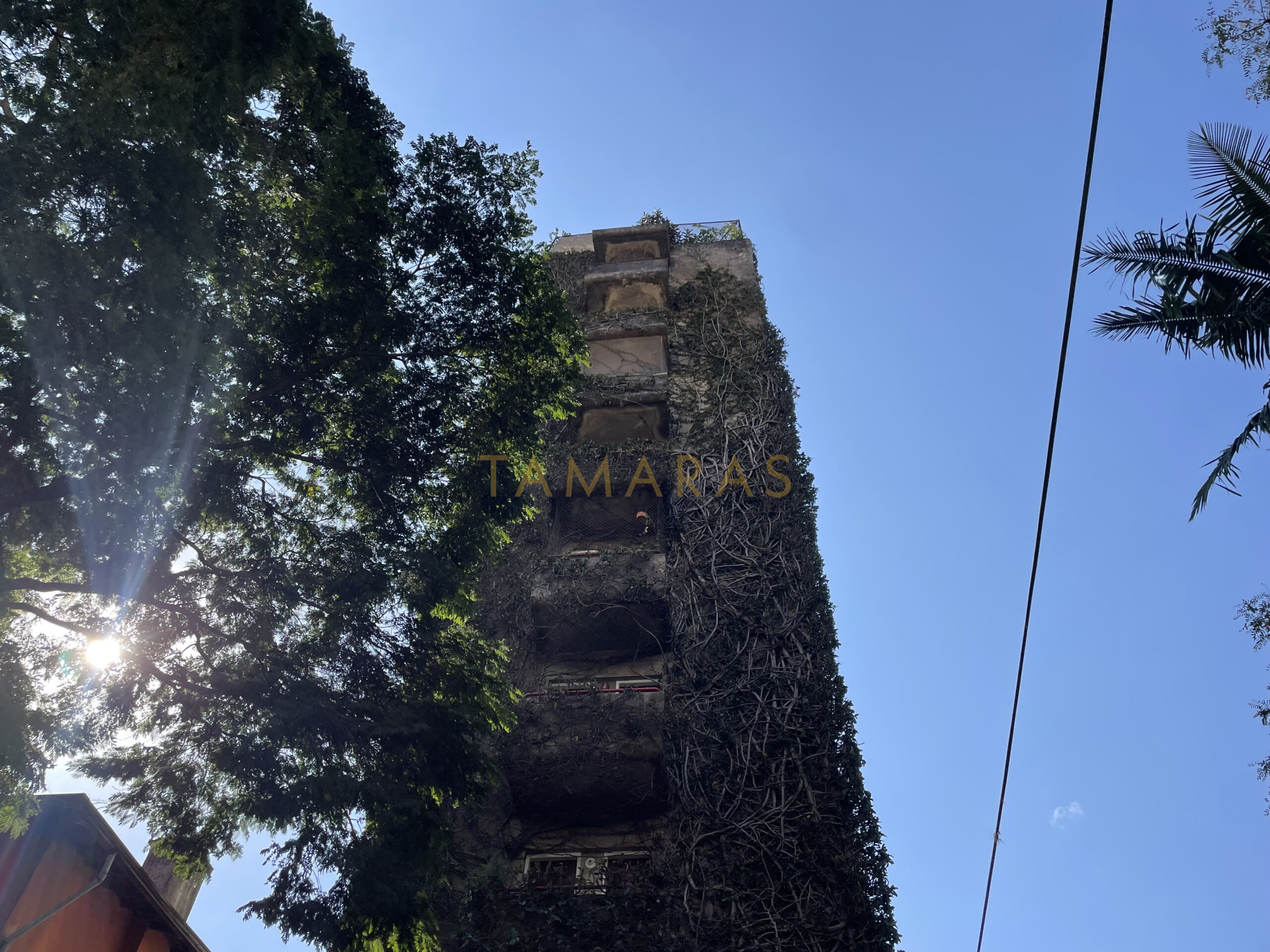 1768410907-74602-01_imagem_01