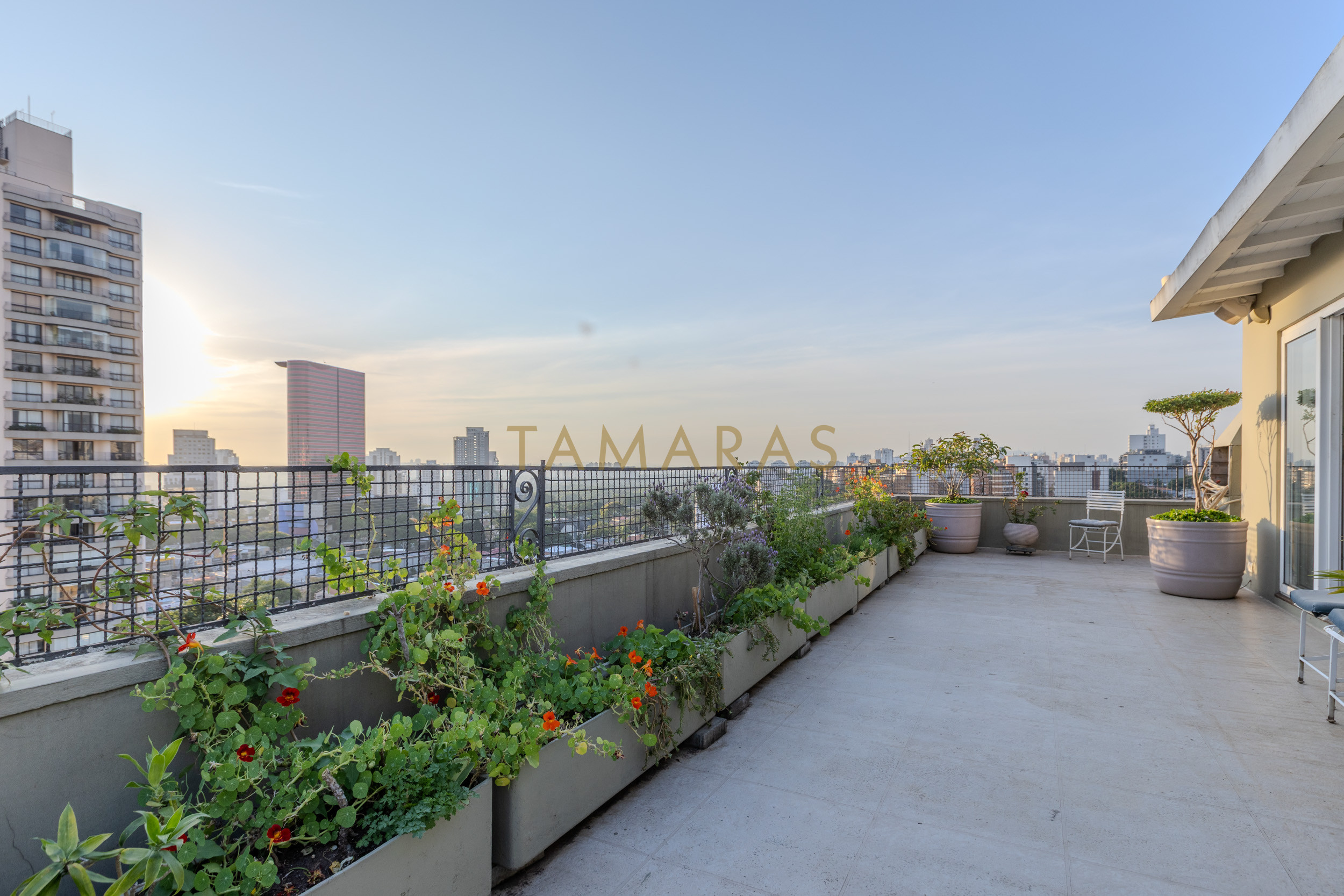 1764246610-51400-01_imagem_01